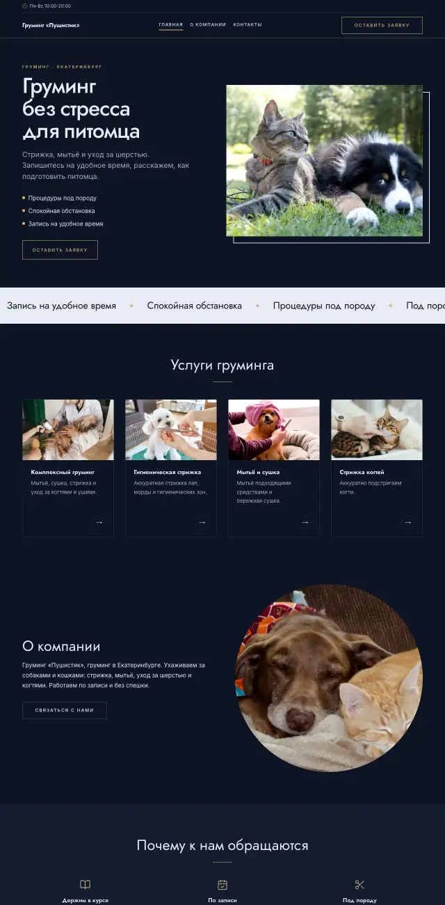 Груминг и уход за животными, стиль Ночной синий: на компьютере