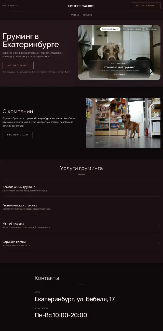 Груминг и уход за животными, стиль Вечерний: на компьютере