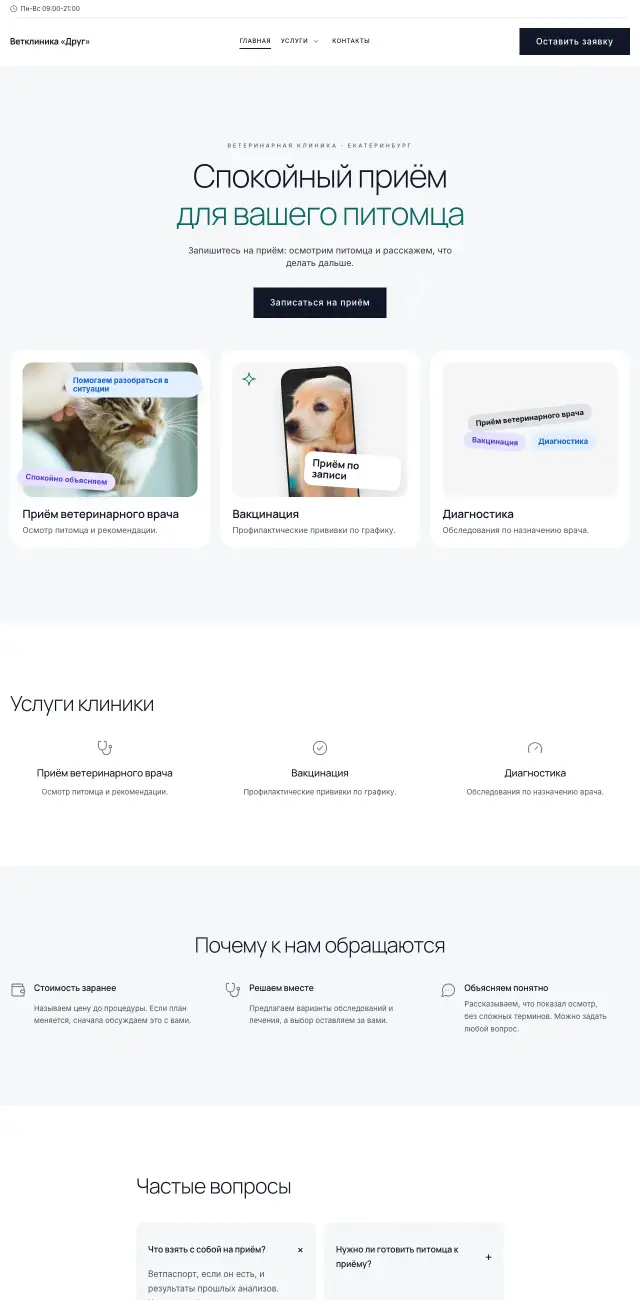 Ветеринарная клиника, стиль Снежный: на компьютере